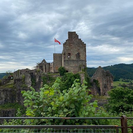 エメンディンゲンIdyllische Aussichtアパートメント エクステリア 写真